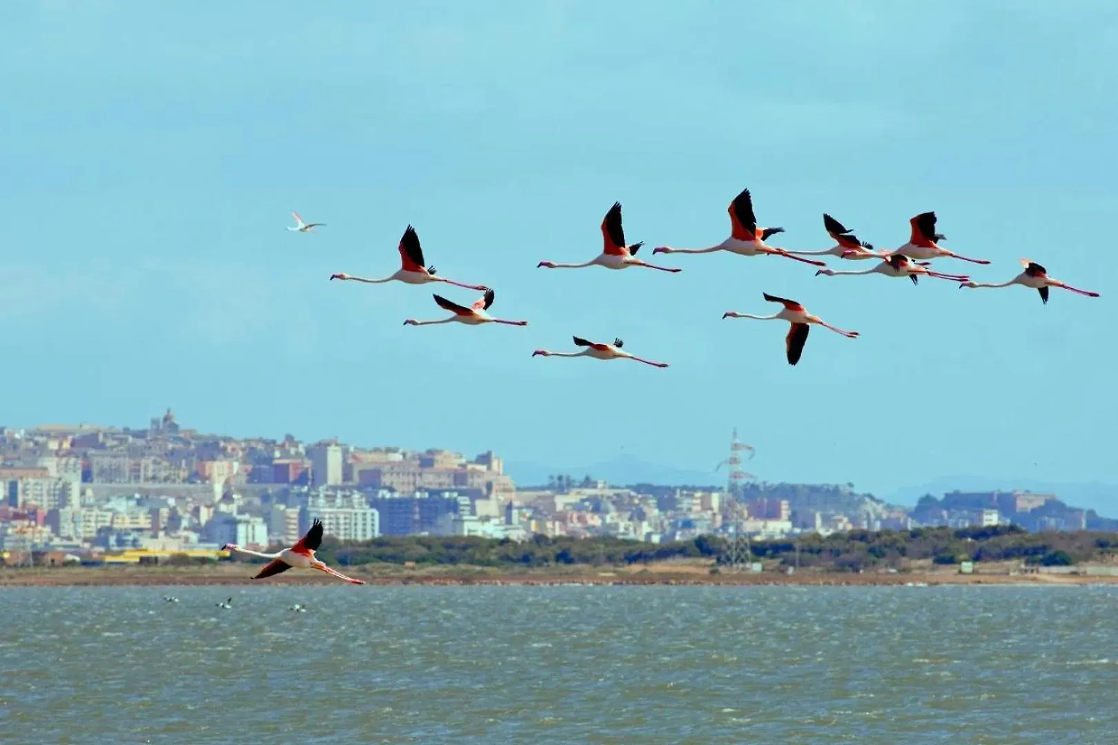 Sa Domu De Aury - 5 Minutes From Poetto Beach 콰르투 산텔레나 이탈리아